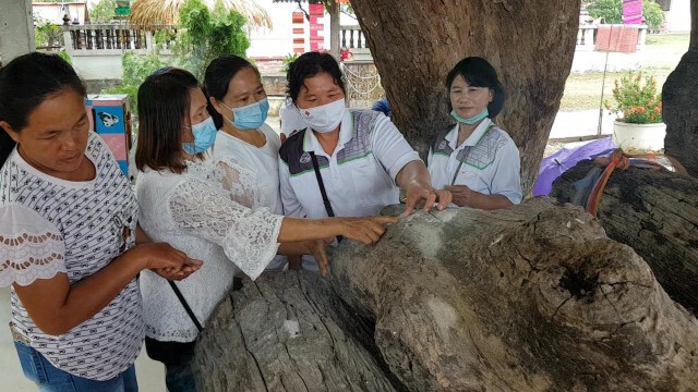 "คอหวย"แห่ขอเลข"แม่ตะเคียน"วัดพระบาทแม่ไทย