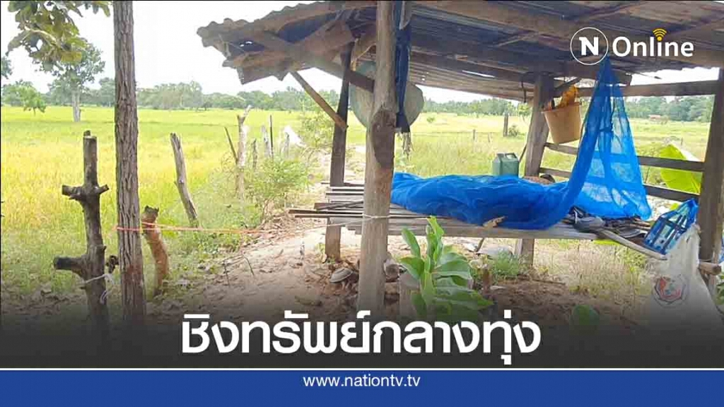 ชิงทรัพย์สาวใหญ่ที่กระท่อมปลายนา ชิงทรัพย์สาวใหญ่ที่กระท่อมปลายนา