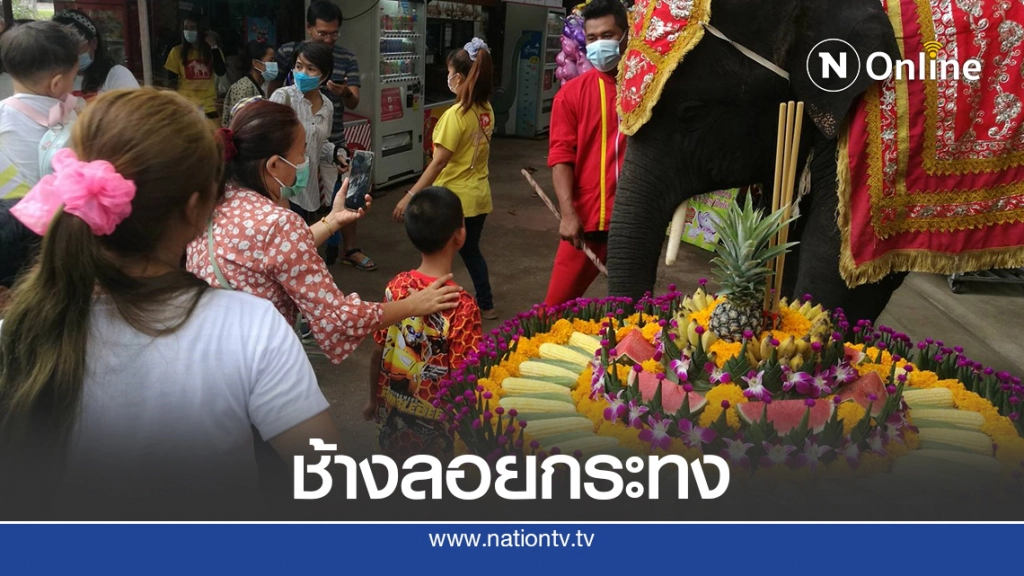 อยุธยาคึกคัก วังช้างอยุธยาแลเพนียด จัดทำกระทงยักษ์ ให้นักท่องเที่ยวถ่ายรูปกับช้างวันลอยกระทง