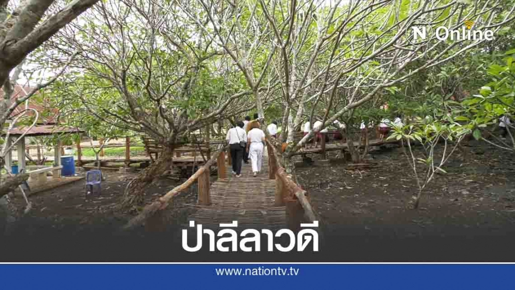 สร้าง"ขัวแตะ"ชมป่าลีลาวดี100ปีที่วัดพระบาทแม่ไทย