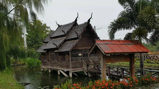 สร้าง"ขัวแตะ"ชมป่าลีลาวดี100ปีที่วัดพระบาทแม่ไทย