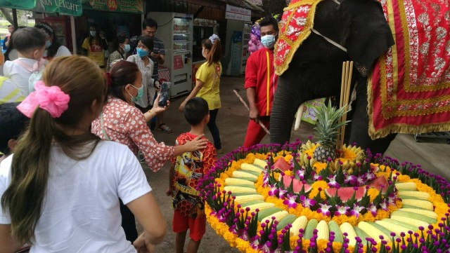 อยุธยาคึกคัก วังช้างอยุธยาแลเพนียด จัดทำกระทงยักษ์ ให้นักท่องเที่ยวถ่ายรูปกับช้างวันลอยกระทง