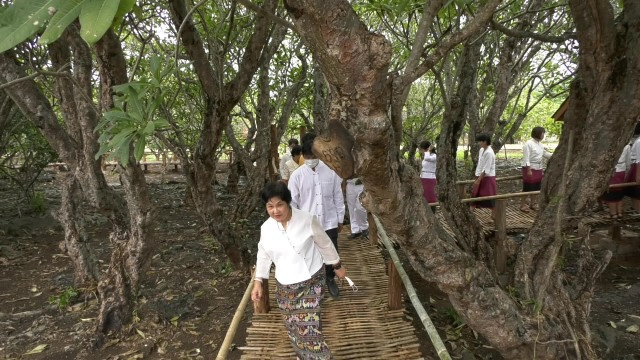 สร้าง"ขัวแตะ"ชมป่าลีลาวดี100ปีที่วัดพระบาทแม่ไทย