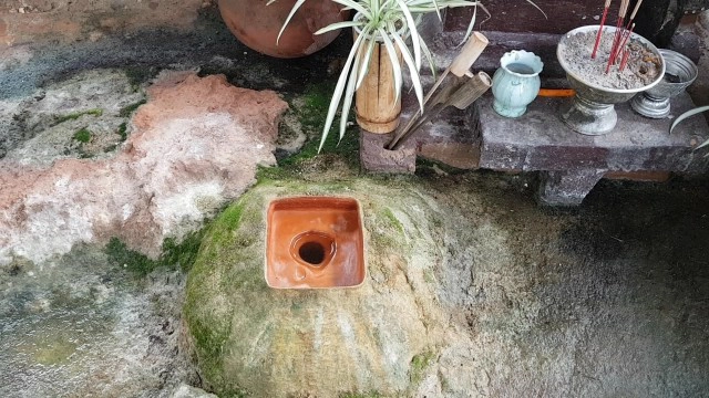 สร้าง"ขัวแตะ"ชมป่าลีลาวดี100ปีที่วัดพระบาทแม่ไทย