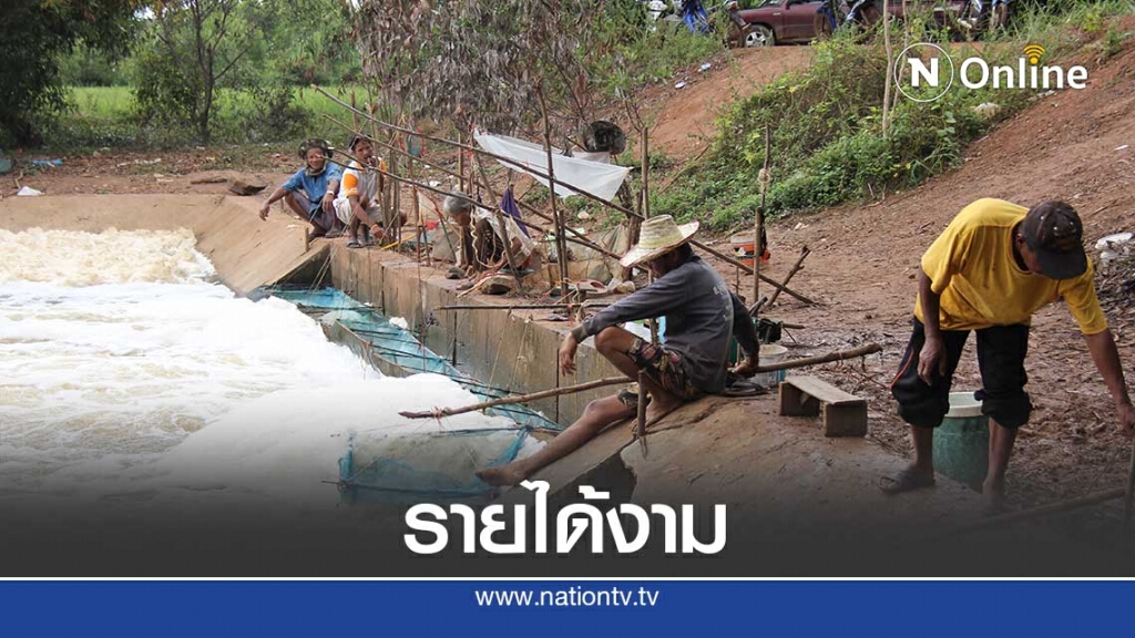 พลิกวิกฤติน้ำหลากแห่จับปลาที่ฝายน้ำล้นขายรายได้วันละ 300 – 1,000 บาท