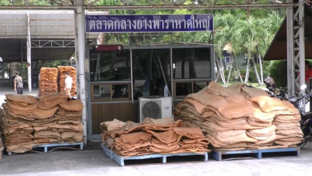 เช็คสต๊อกยาง 5 เสือหลังรับซื้อต่ำกว่าราคาตลาด