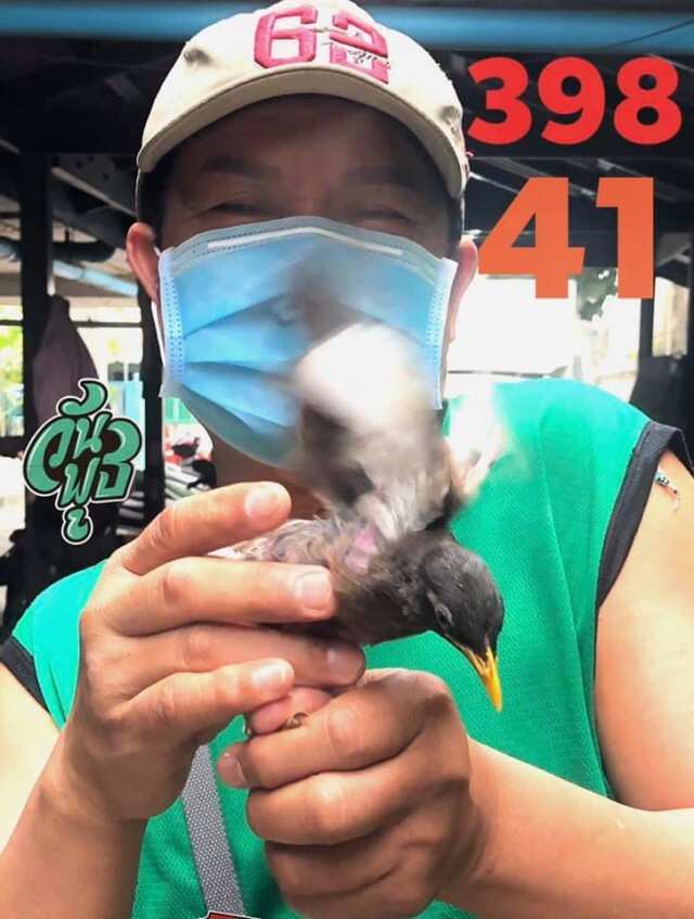 รวมเลขเด็ดโค้งสุดท้าย ก่อนลุ้นงวด 1 พ.ย.63