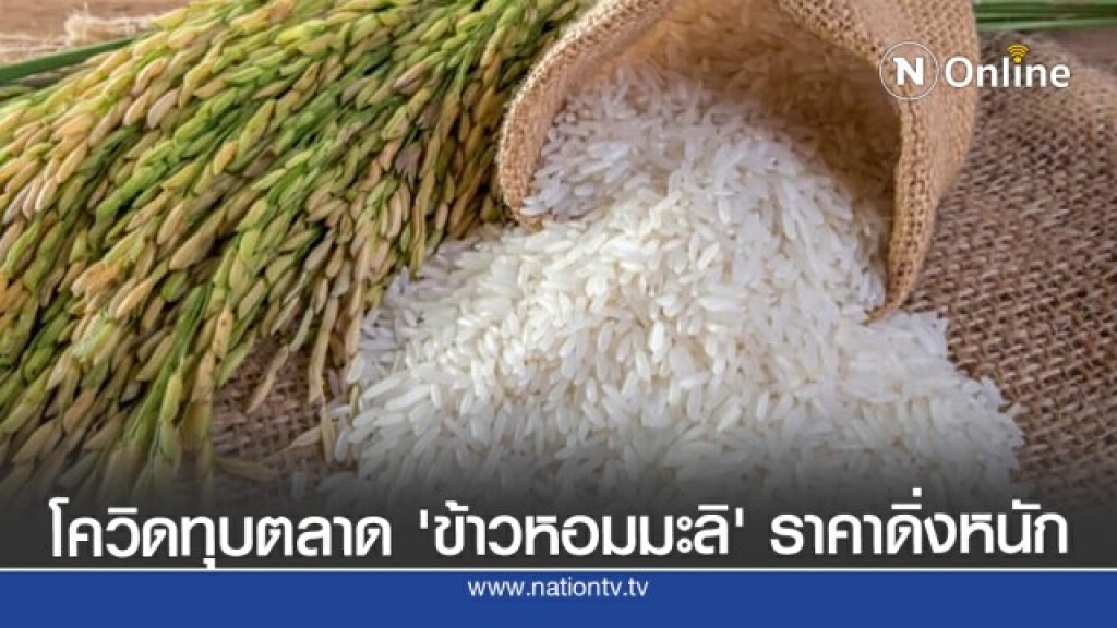 โควิดทุบตลาด’ข้าวหอมมะลิ’ ราคาดิ่งหนัก โควิดทุบตลาด’ข้าวหอมมะลิ’ ราคาดิ่งหนัก