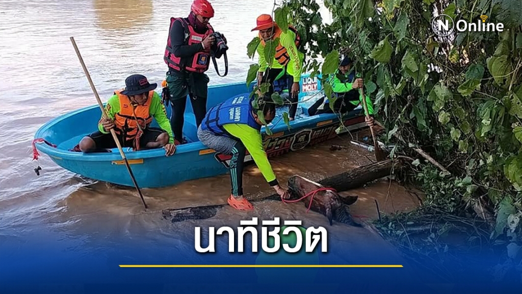 ระทึก ! นาทีกู้ภัยช่วยชีวิตม้าถูกน้ำป่าพัดลอยข้ามเขตจังหวัด