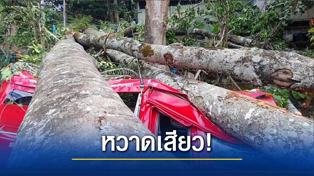 หวาดเสียว! ต้นไม้ใหญ่ ล้มทับรถพัง-เจ็บ 2 ราย