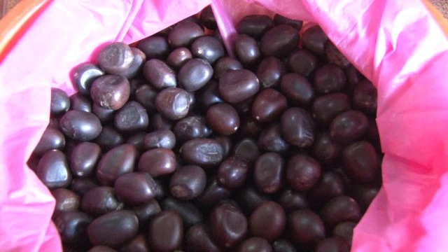 เครื่องประดับ "มะค่าโมง"-โอทอป5ดาว