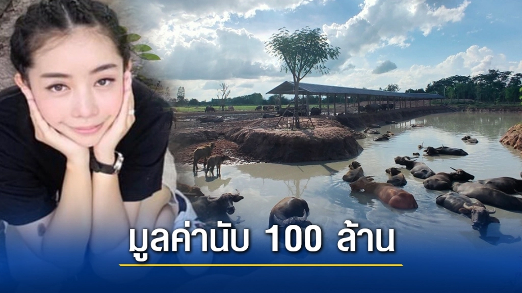 "หนึ่ง บางปู"ทุ่มทุนเลี้ยงฝูงควาย นับ 100 ล้าน