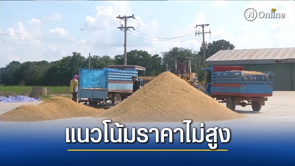 ชี้ราคาข้าว "แนวโน้มไม่สูง"
