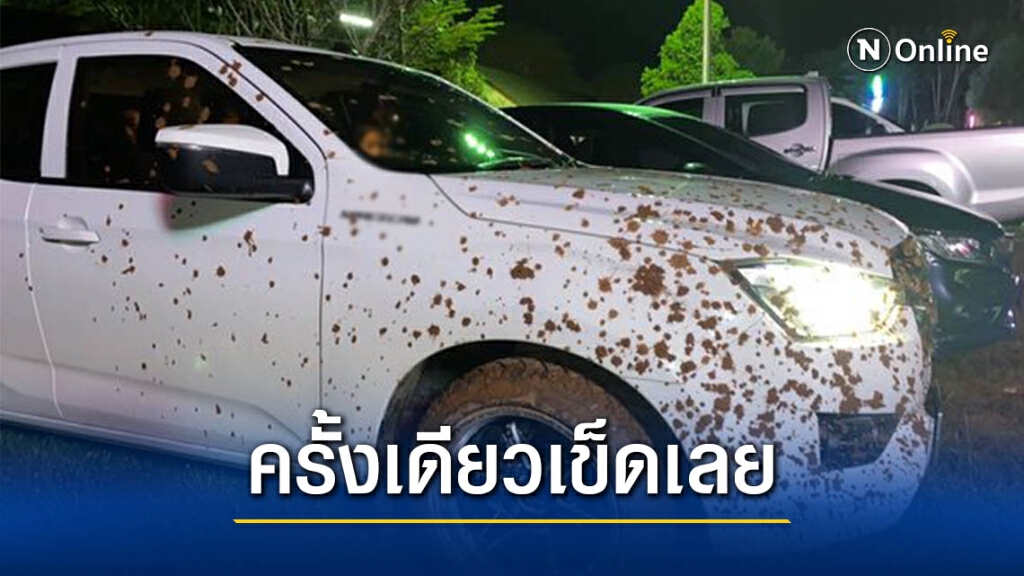 หนุ่มขับรถเที่ยวงานวัด เจอดี เตือนรถใหม่อย่ามาเด็ดขาด! หนุ่มขับรถเที่ยวงานวัด เจอดี เตือนรถใหม่อย่ามาเด็ดขาด!