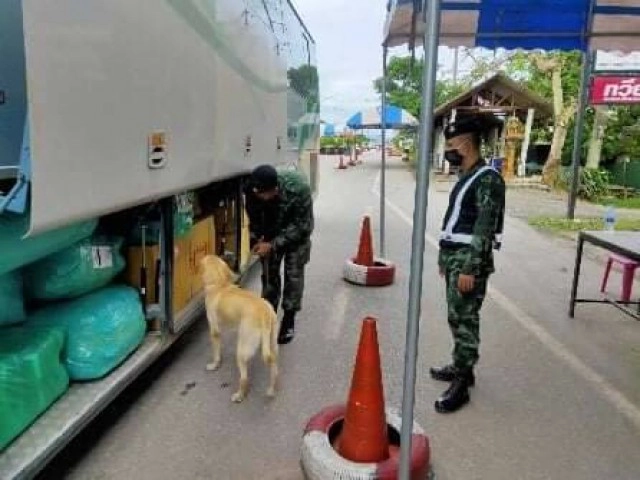 ส่งสุนัข 23 ตัว ตรวจต่างด้าว-ยาเสพติด ตามแนวชายแดน