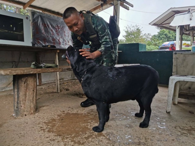 ส่งสุนัข 23 ตัว ตรวจต่างด้าว-ยาเสพติด ตามแนวชายแดน