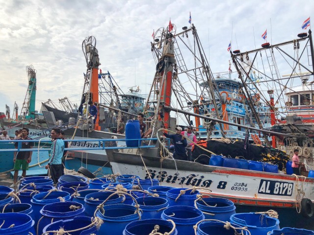 เกษตรฯเล็งท่าเรือประมงภูเก็ตขึ้นแหล่งท่องเที่ยวเชิงนิเวศ