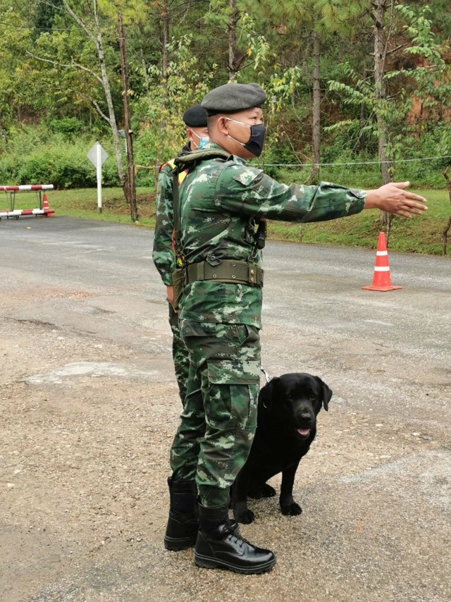 ส่งสุนัข 23 ตัว ตรวจต่างด้าว-ยาเสพติด ตามแนวชายแดน