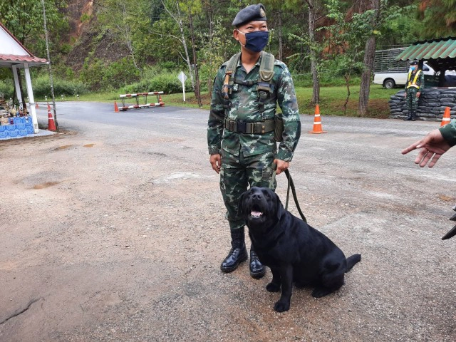 ส่งสุนัข 23 ตัว ตรวจต่างด้าว-ยาเสพติด ตามแนวชายแดน