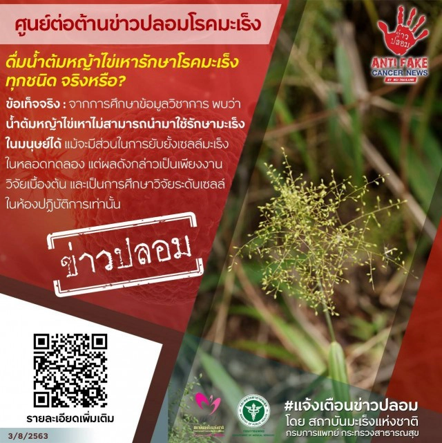 เตือนข่าวปลอม! "น้ำต้มหญ้าไข่เหารักษาโรคมะเร็งทุกชนิด"