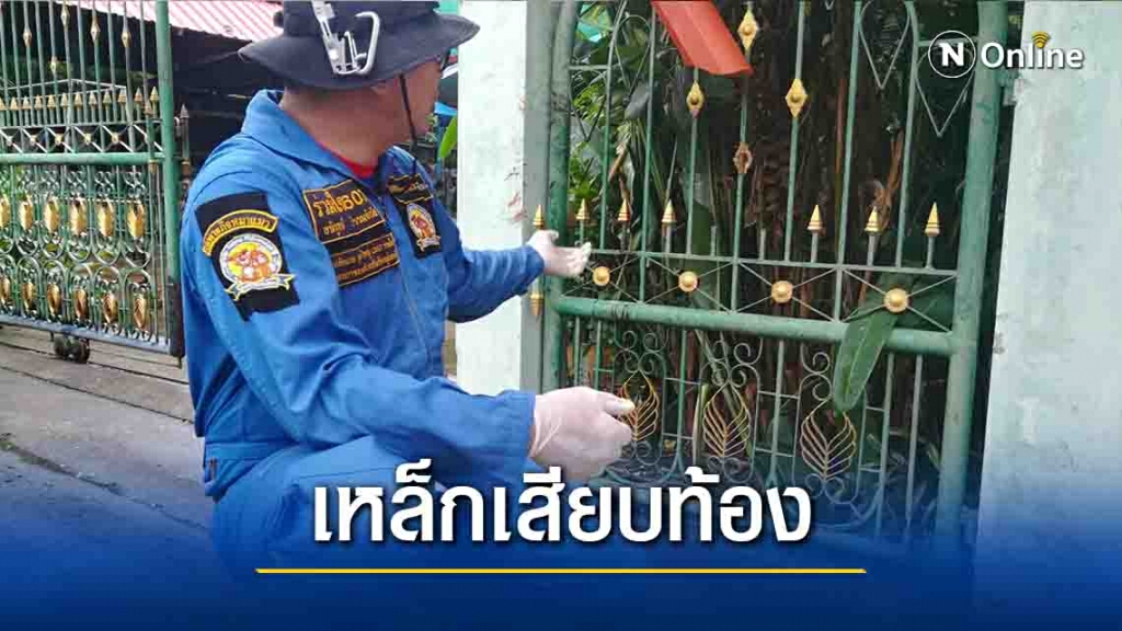 น่าสงสาร! "เจ้าลีโอ"ปีนเข้าบ้านโดนเหล็กเสียบท้องดับคารั้ว น่าสงสาร! "เจ้าลีโอ"ปีนเข้าบ้านโดนเหล็กเสียบท้องดับคารั้ว