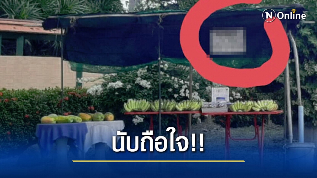 สาวขับรถผ่าน เจอร้านผลไม้ไร้คนขาย ติดป้ายประกาศเห็นแล้วยอมใจ สาวขับรถผ่าน เจอร้านผลไม้ไร้คนขาย ติดป้ายประกาศเห็นแล้วยอมใจ
