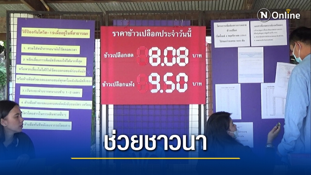 เปิด3จุดรับซื้อข้าวเหนียว-ราคาสูงกว่าตลาดตันละ200บาท
