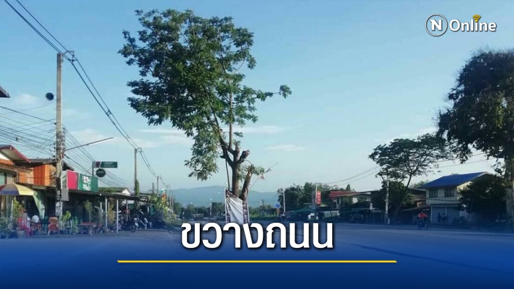 สวดยับ!สัญญาหมด-ทิ้งต้นไม้ขวางถนน สวดยับ!สัญญาหมด-ทิ้งต้นไม้ขวางถนน