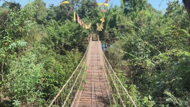 เดินชมดอกไม้เที่ยวสะพานแขวนวัดป่าแห่งใหม่