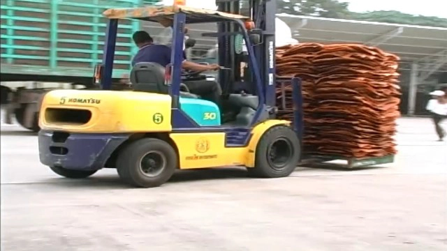 แนะชาวสวนกรีดยางวันเว้นวัน