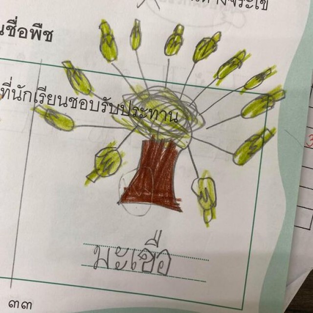 ครูให้นักเรียนวาดพืชที่ชอบทาน เห็นแล้วตะลึง คิดได้ไง