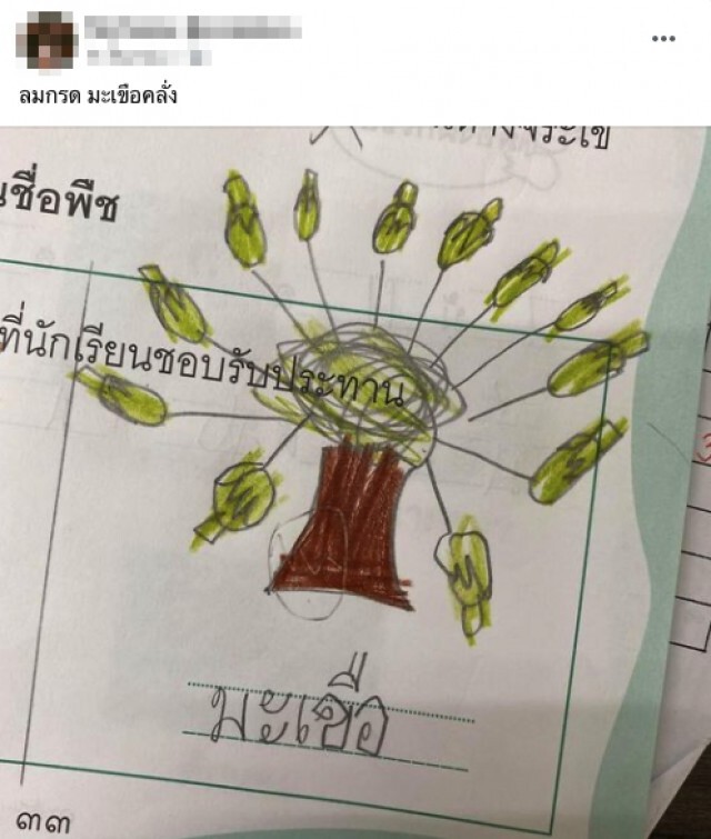 ครูให้นักเรียนวาดพืชที่ชอบทาน เห็นแล้วตะลึง คิดได้ไง