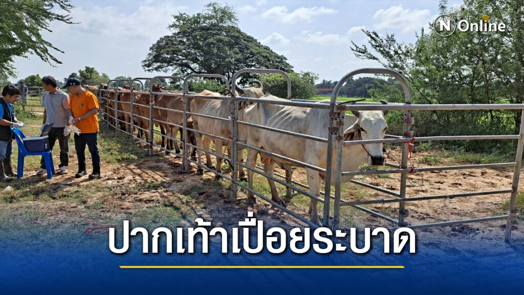 ประกาศเขตโรคระบาดสัตว์ควบคุมโรคปากเท้าเปื่อย ประกาศเขตโรคระบาดสัตว์ควบคุมโรคปากเท้าเปื่อย