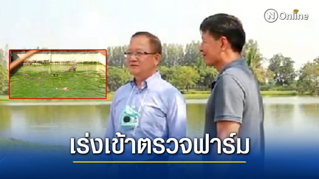 ประมงราชบุรี เต้นตรวจฟาร์มจระเข้ หลังมีคนโพสต์เฟซบุ๊กใช้สุนัขเป็นอาหาร