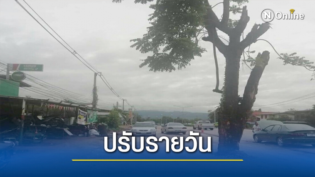 ปรับรายวัน! "ต้นไม้ขวางถนน"