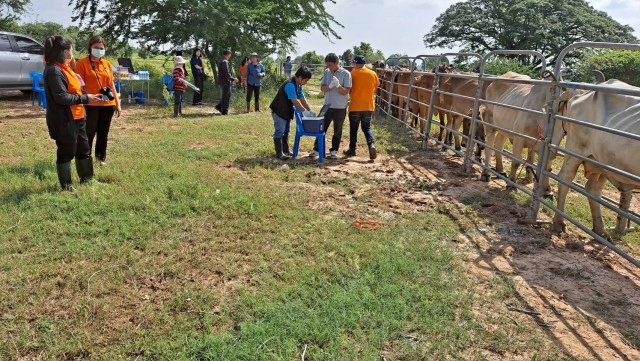 ประกาศเขตโรคระบาดสัตว์ควบคุมโรคปากเท้าเปื่อย