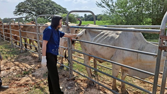 ประกาศเขตโรคระบาดสัตว์ควบคุมโรคปากเท้าเปื่อย