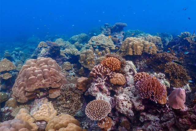 เที่ยวสิมิลันในแบบ New Normal