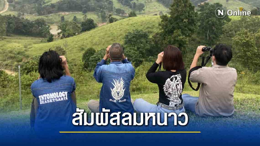 กางเต็นท์ ดูกระทิงและสัมผัสอากาศหนาวที่วังน้ำเขียว กางเต็นท์ ดูกระทิงและสัมผัสอากาศหนาวที่วังน้ำเขียว