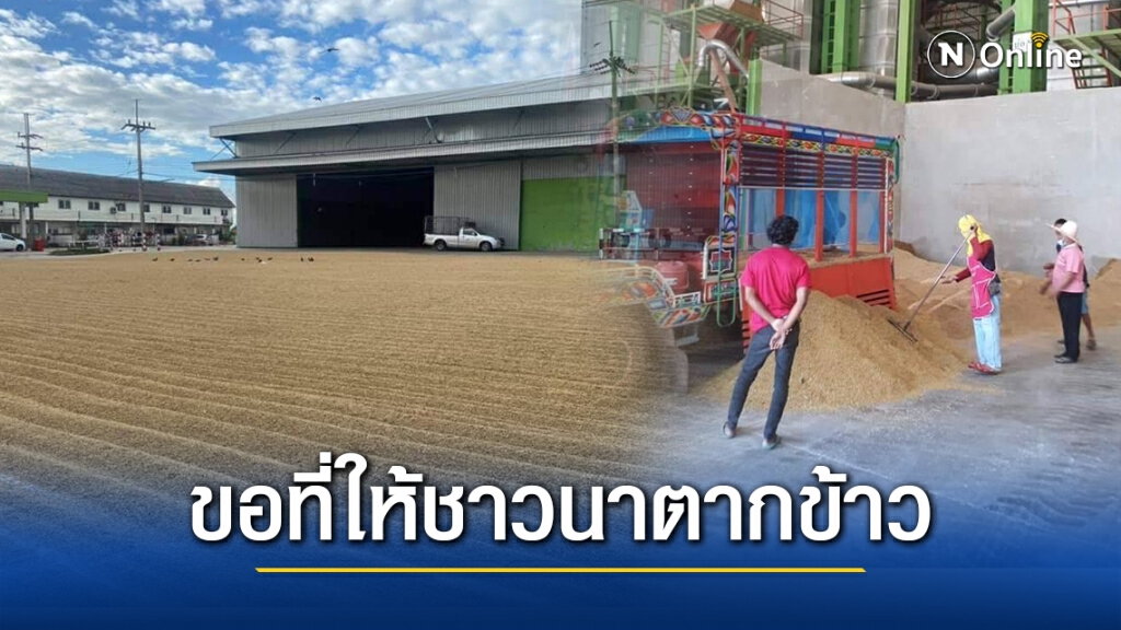 วอนสหกรณ์การเกษตรทั่วประเทศ เปิดพื้นที่ให้ชาวนานำข้าวมาตาก ลดความชื้น