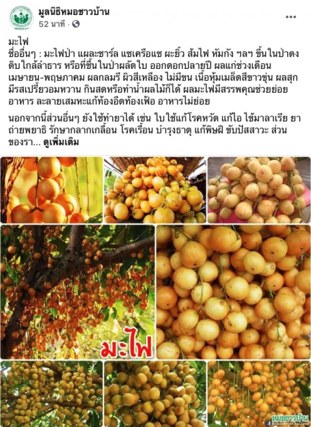 หมอชาวบ้าน เผย "มะไฟ" มีสรรพคุณช่วยย่อยอาหาร ละลายเสมหะ