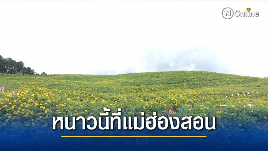 ททท.แม่ฮ่องสอน ชวน"สัมผัสอากาศหนาว"