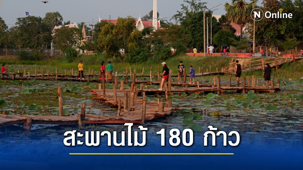 ชวนเที่ยว เช็คอินสะพานไม้ 180 ก้าวกลางหนองบัว