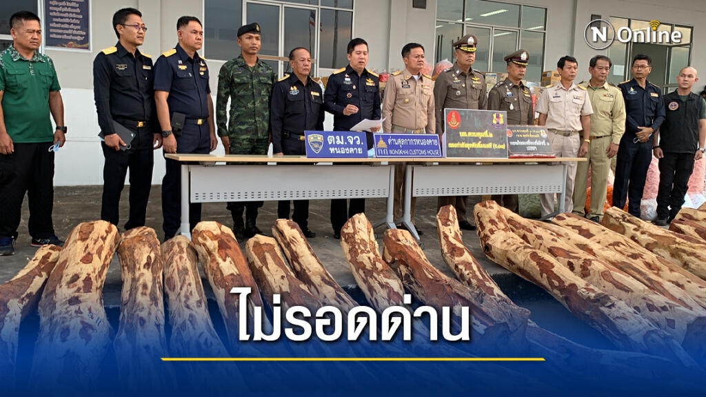 รวบหนุ่มลาวขนไม้พะยูงเต็มรถตู้หวังข้ามชายแดน รวบหนุ่มลาวขนไม้พะยูงเต็มรถตู้หวังข้ามชายแดน