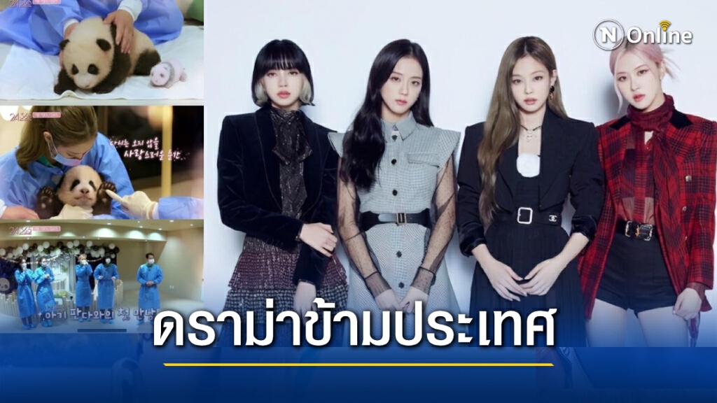 "BLACKPINK" เจอชาวเน็ตจีนจวกเล่นลูกแพนด้ามือเปล่า