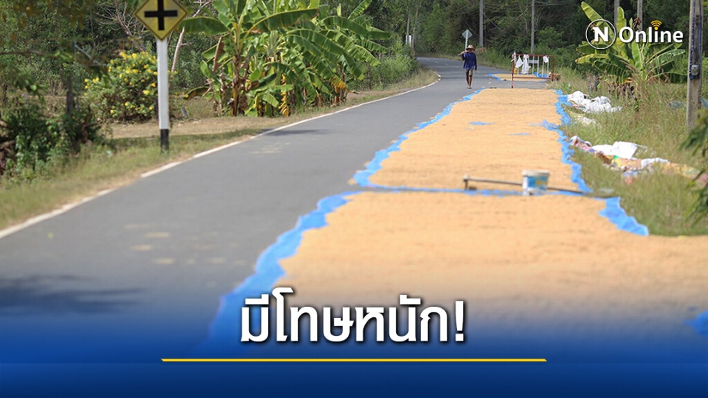 ทนายรัชพล ชี้! ตากข้าว บนถนน มีโทษหนัก! ทนายรัชพล ชี้! ตากข้าว บนถนน มีโทษหนัก!