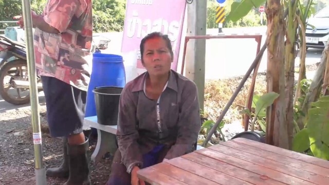 ชาวสวนตรัง วอนรัฐบาลเร่งแก้ราคายาง