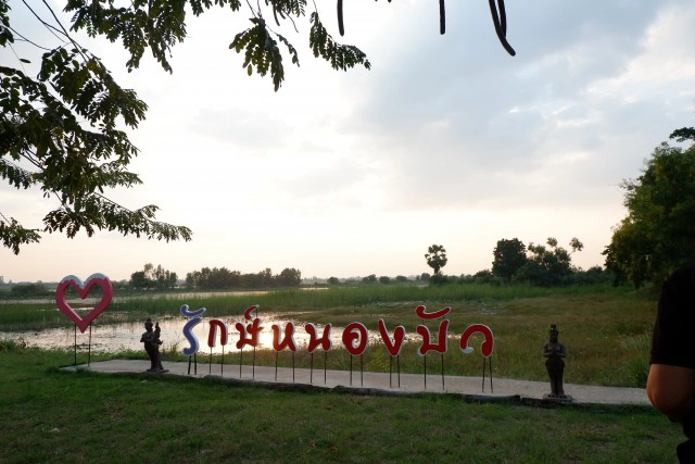 ชวนเที่ยว เช็คอินสะพานไม้ 180 ก้าวกลางหนองบัว