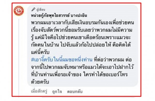 โซเชียลระอุ! กู้ภัยจับ แมวอเมริกันช็อตแฮร์ ปล่อยป่าข้างถนน เจ้าของโวยทำไมถึงไม่รอ!