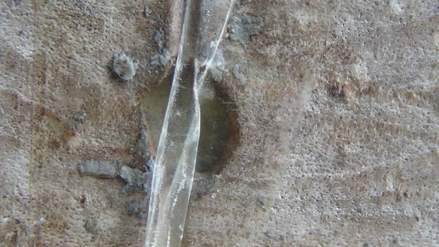 แจ้งจับผัวโรคจิตขู่ฆ่า เจาะฝาบ้านถ้ำมอง ขโมย กกน.ลูกสาว